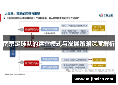 南京足球队的运营模式与发展策略深度解析