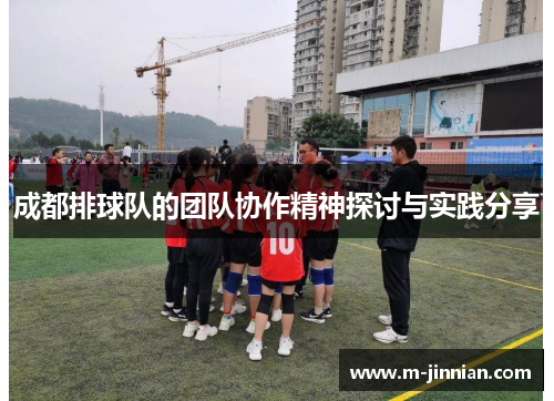 成都排球队的团队协作精神探讨与实践分享