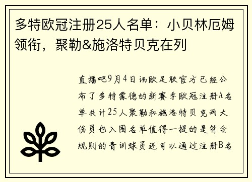 多特欧冠注册25人名单：小贝林厄姆领衔，聚勒&施洛特贝克在列