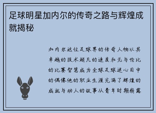 足球明星加内尔的传奇之路与辉煌成就揭秘